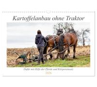 Kartoffelanbau ohne Traktor (Wandkalender 2026 DIN A3 quer), CALVENDO Monatskalender: Der Anbau von Kartoffeln mit unseren Pferden und Körpereinsatz.