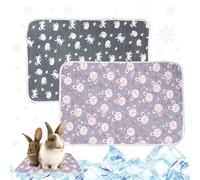 KASESSS 2 Pcs Cama Refrescante para Conejos, 40x30cm Verano Manta Refrescante, Manta Fria para Conejito, Alfombrilla Refrescante para Chinchilla, Conejillo de Indias, Hámster y Pequeños Animales