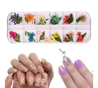 KASESSS Flores Secas para Uñas - 12 Estilos de Decoracion de Nail Art 3D, Naturales para Manualidades, Bricolaje, Albumes de Recortes y Joyería