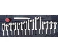 KASHSURG Human Organ - Juego de 15 tenedores de afinación con activador y bolsa de terciopelo (Pro)