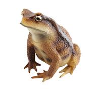 Kasmole Ranas para Niños - Mini Lindo Educativo - Figuras De Sapo para Niños Juguetes De Reptiles,para Aula Hogar Escuela Guardería Cumpleaños Días Festivos y Obsequios para