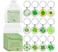 Kasyat 12 Sets Amuleto de Suerte Incluido Llaveros de Suerte con Trébol Herradura Cartas Viel Glück Bolsas Regalo de Buena Suerte para Despedida Gracias Navidad Año Nuevo