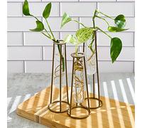 Kate Aspen Terrarios de estación de propagación con Soporte de Metal Dorado, 3 macetas de Tubo de ensayo de Vidrio para Plantas de Interior, Plantas de Aire, Recortes de Plantas, Flores Cortadas,