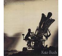 Kate Bush - Cloudbusting
