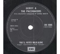 Kate Bush - Man With Child In His Eyes