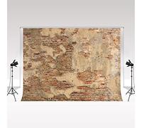 Kate Telón de Fondo para Fotografía 3x2m Pared de Ladrillo de Cemento Moteado Tela Suave para Recién Nacido Telón de Fondo Retro Gris Telón de Fondo del Día del Juicio Final para Fotografía