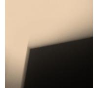 For You Who Are the Wronged [Vinilo]