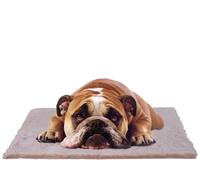 Kattens No.1 - Comforta Belt - Manta Térmica 75x100CM - Crema Perro Manta Gato