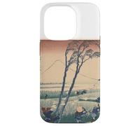 Katusai Hokusai 300 Zhou Jiang Katsu Carcasa para iPhone 14 Pro