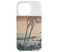 Katusai Hokusai 300 Zhou Jiang Katsu Carcasa para iPhone 14 Pro MAX
