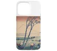 Katusai Hokusai 300 Zhou Jiang Katsu Carcasa para iPhone 15 Pro MAX