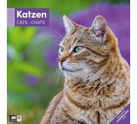 Katzen Broschürenkalender 2026 - 30x30 - Art12: Niedlicher Tier-Kalender im schlanken Hochformat (aufgeklappt 30x60 cm) | mit Eintrage-Kalendarium