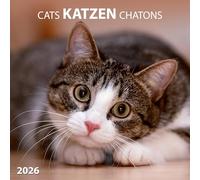 Katzen/Cats 2026: Kalender 2026