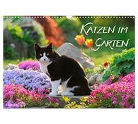 Katzen im Garten (Wandkalender 2026 DIN A3 quer), CALVENDO Monatskalender: Katzen fotografiert zwischen farbenfrohen Blumen und ländlicher Idylle.