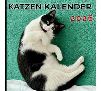 Katzen Kalender 2026: Monatskalender in Farbe mit süßen Katzenfotos 12 Monate | Ein Monatskalender | Januar bis Dezember 2026 |