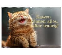 Katzen können alles, außer traurig. (Wandkalender 2026 DIN A2 quer), CALVENDO Monatskalender: Katzen sind unsere Freunde - in allen Lebenslagen.