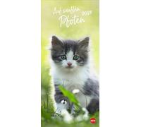 Katzen slim - Auf sanften Pfoten Kalender 2027: Tierkalender mit viel Platz für Termine und Notizen und unwiderstehlichen Katzenfotos. Dekorativer Langplaner für Übersicht und Organisation.