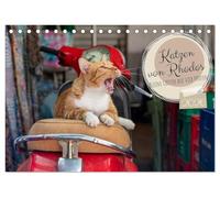 Katzen von Rhodos - Kleine Götter auf vier Pfoten (Tischkalender 2026 DIN A5 quer), CALVENDO Monatskalender: Straßenkatzen von Rhodos - entspannte ... für Katzen- und Griechenlandliebhaber.