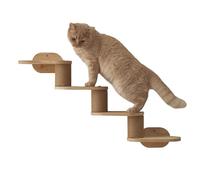 Katzen Wand | Katzen Kletter Möbel | Wandmontage Kletterwand Set | Schwebende Holz Katznwand Mit Kratzbrett Leiter Und Liegeplattform Für Indoor Katen Spielbereich Platzsparende Wandmöbel