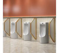 Kaverno Deflector De Pantalla De Privacidad De Urinario para Hombres con Marco De Acero Inoxidable, Tabique Separador De Urinario para Paredes para Escuelas/Centros Comerciales(Frosted Gold,1pcs)