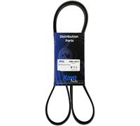 KAVO PARTS DMV-9037 Correa trapecial poli V