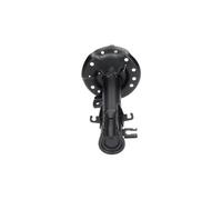 KAVO PARTS Amortiguador Delantero Derecho Para Fiat Doblo Gran Espacio 263_ 263
