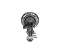 KAVO PARTS Amortiguador Eje Delantero Derecho Apto para Fiat 500 312_ 312 C