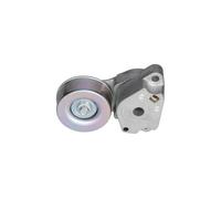 KAVO PARTS DTP-5503 Polea tensora, correa poli V