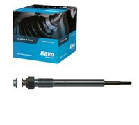 Kavo Parts IGP de 4004 gluh Vela