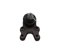 KAVO PARTS SBJ-6521 Rótula de suspensión