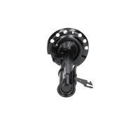 Amortiguador Eje delantero, derecha Espiga arriba SSA-10093 KAVO PARTS para FIAT