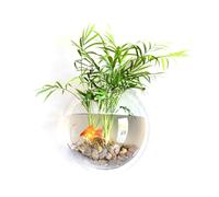 Kavolet Maceta Acrílica Colgante para Pecera para Decoración del Hogar, Montaje en Pared, Diseño Transparente una Visualización Clara, Fácil de Instalar, Uso en el Hogar o la Oficina (230 mm de