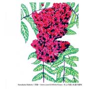 Kawabata - Astro Love & Infinite Kisses [Vinilo]