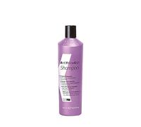 KayPro - Champú Anti-Amarillo No Yellow Gigs 350 ml
