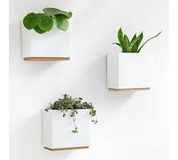 Kazai. Jardineras de Pared -Alma- | 3 Macetas Colgantes Modernas de Resina | Set de Porta Plantas para Plantas de Interior, Plantas Artificiales y más | Blanco