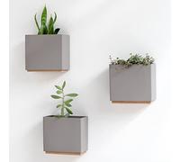 Kazai. Jardineras de Pared -Alma- | 3 Macetas Colgantes Modernas de Resina | Set de Porta Plantas para Plantas de Interior, Plantas Artificiales y más | Gris Pardo