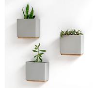 Kazai. Jardineras de Pared -Alma- | 3 Macetas Colgantes Modernas de Resina | Set de Porta Plantas para Plantas de Interior, Plantas Artificiales y más | Gris
