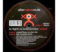 KC Flightt & Funky Junction - KC Flightt & Funky Junction - Voices - Alternative Route Recordings