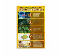 KCDFDVJFBM Allergy Season Pollen Chart Guide Informative Poster Wall-Art Print for Home Office School Clinic Waiting Room(Framed,12x18inch(30x45cm))