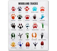 KCDFDVJFBM Animal Tracks Identification Chart, Woodland Wildlife Footprint Poster, Educational Wall-Art for Room, Homeschool Classroom, and Nature Camp(Framed,12x18inch(30x45cm))