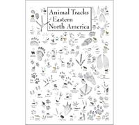 KCDFDVJFBM Animal Tracks Identification Poster - Eastern North America Wildlife Footprint Chart for Hikers, Campers & Nature Explorers | Field Guide Wall-Art Decor(Unframed,16x24inch(40x60cm))