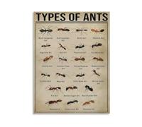KCDFDVJFBM Ant Species Learning Poster - Types of Ants Educational Chart Canvas Art for Room(Framed,16x24inch(40x60cm))