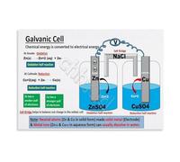 KCDFDVJFBM AP Chemistry Educational Wall-Art Galvanic Cell Poster Canvas Print for College Prep Classroom Decor Teaching Resource(Unframed,08x12inch(20x30cm))