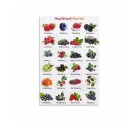 KCDFDVJFBM Berries Identification Chart, Healthy Fruit Guide Canvas Painting Wall-Art for Kitchen, Pantry, Nutritionist, Cooking Class Decor(Unframed,16x24inch(40x60cm))