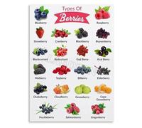 KCDFDVJFBM Berries Reference Chart Poster Fruit Varieties Educational Guide Wall-Art for Kitchen Decor Bedroom Living Room(Unframed,08x12inch(20x30cm))