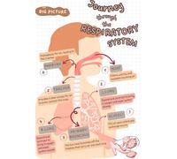 KCDFDVJFBM Biology Classroom Decor Human Respiratory System Poster Anatomy Educational Chart for Nursing Students Pulmonology(Unframed,16x24inch(40x60cm))