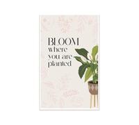 KCDFDVJFBM Bloom Where You Are Planted Inspirational Poster Classroom Decor Growth Mindset Affirmation Wall-Art for Teacher Gift Homeschool Spring Decor Must Have(Unframed,08x12inch(20x30cm))