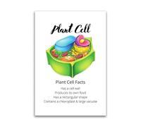 KCDFDVJFBM Botany Learning Poster Plant Cell Structure Diagram and Facts for Science Education and Home Decor(Framed,08x12inch(20x30cm))