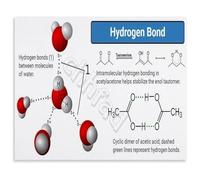 KCDFDVJFBM Chemistry Wall-Art Canvas Painting Hydrogen Bonding Educational Science Poster for Classroom Decor Bedroom(Framed,08x12inch(20x30cm))