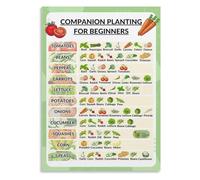 KCDFDVJFBM Companion Planting Reference Guide Gift for Gardening Enthusiasts Raised Beds Herb Garden DIY Planter Box Poster(Framed,12x18inch(30x45cm))